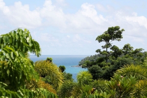 Kata,, Phuket  Thailand