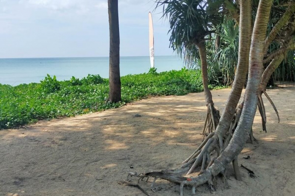 Natai Beach,, Phang Nga  Thailand