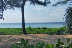 Natai Beach,, Phang Nga  Thailand