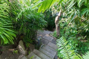 Kata,, Phuket  Thailand