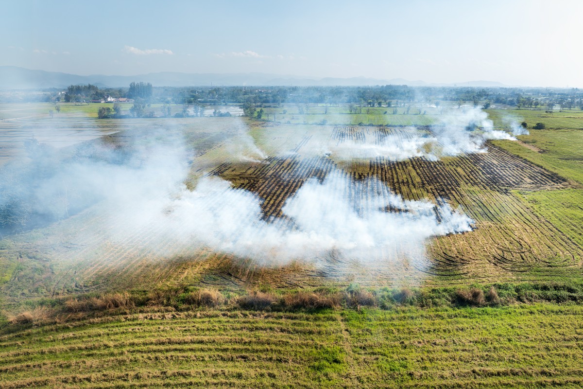 Burning Crops in surrounding provinces and countries