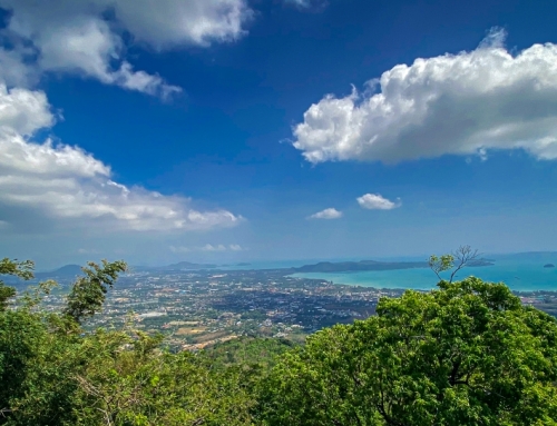 Sea View Properties for Sale in Phuket: A Guide for Investors and Homebuyers