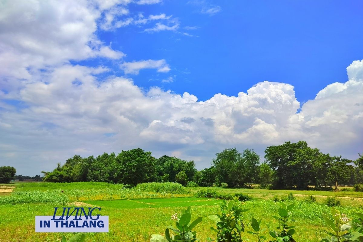 Why buyers are choosing Thalang to live 