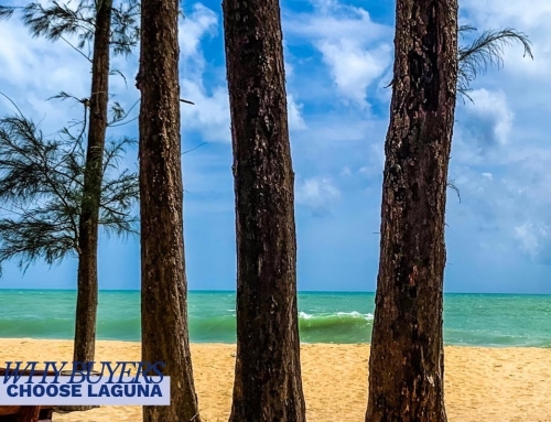 Laguna Freehold Condos – Why Buyers Choose Laguna