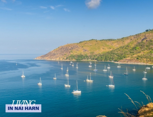 Villas in Nai Harn – Why Buyers Choose Nai Harn