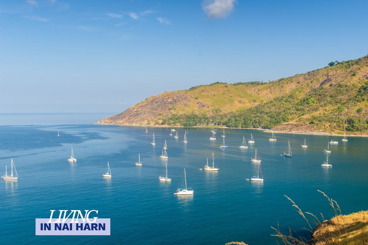 View of Nai Harn Beach, Phuket, with turquoise waters and numerous yachts moored offshore under a clear blue sky.