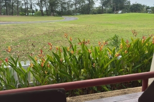 Laguna,, Phuket  Thailand