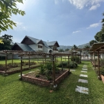 5-bedroom pool villa in Chalong, Phuket big garden with herbs PSV-CHA-1584